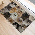 Ohaprints-Doormat-Outdoor-Indoor-Funny-Cute-A-Bunch-Of-Persian-Cats-Kitten-Hope-You-Like-Cats-Rubber-Door-Mat-408-