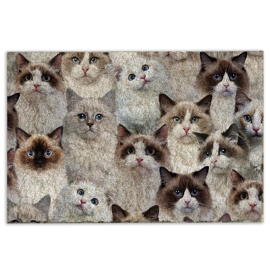 Ohaprints-Doormat-Outdoor-Indoor-Funny-Cute-A-Bunch-Of-Ragdoll-Cats-Kitten-Hope-You-Like-Cats-Rubber-Door-Mat-470-18'' x 30''