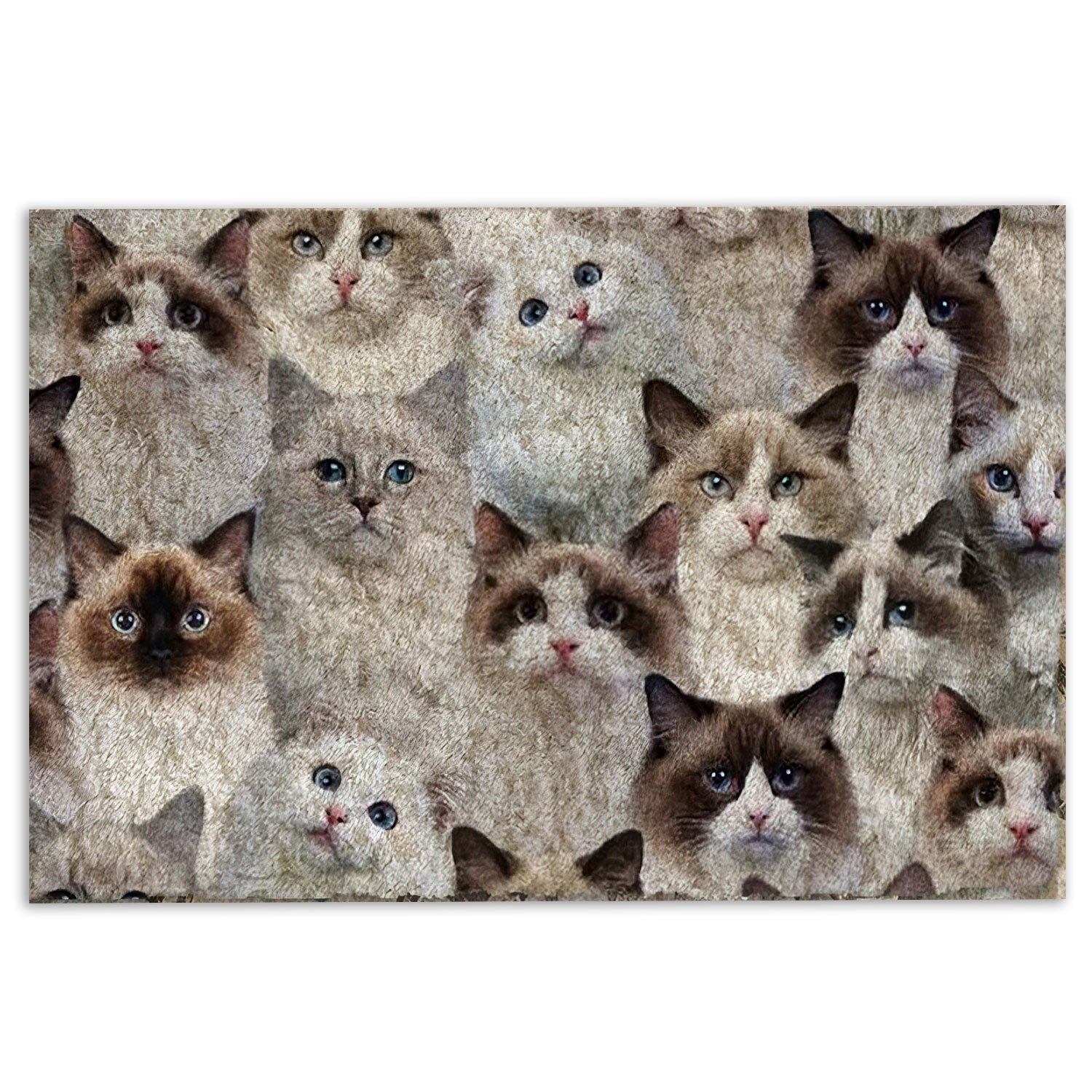 Ohaprints-Doormat-Outdoor-Indoor-Funny-Cute-A-Bunch-Of-Ragdoll-Cats-Kitten-Hope-You-Like-Cats-Rubber-Door-Mat-470-18'' x 30''