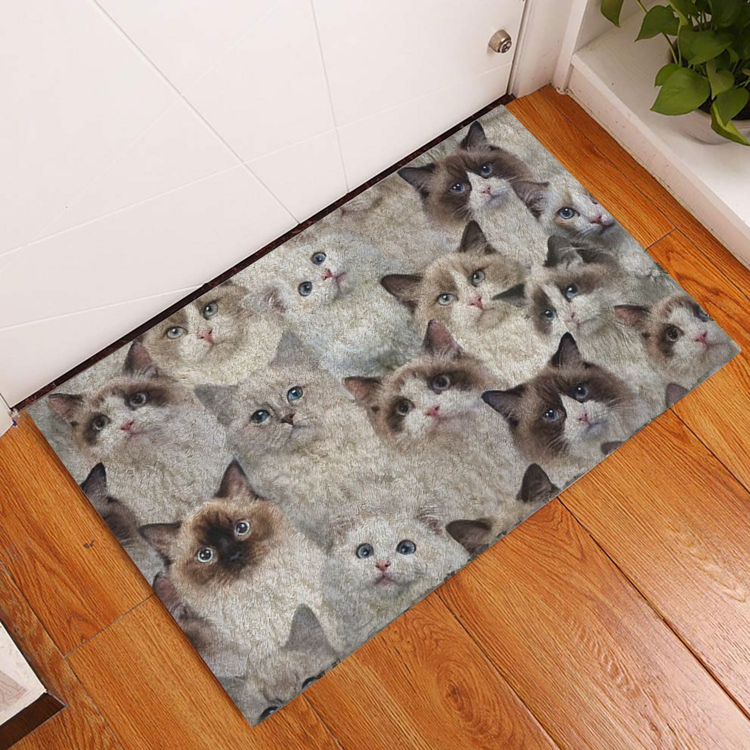 Ohaprints-Doormat-Outdoor-Indoor-Funny-Cute-A-Bunch-Of-Ragdoll-Cats-Kitten-Hope-You-Like-Cats-Rubber-Door-Mat-470-