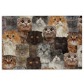 Ohaprints-Doormat-Outdoor-Indoor-Funny-A-Bunch-Of-Scottish-Fold-Cats-Kitten-Hope-You-Like-Cats-Rubber-Door-Mat-471-18'' x 30''