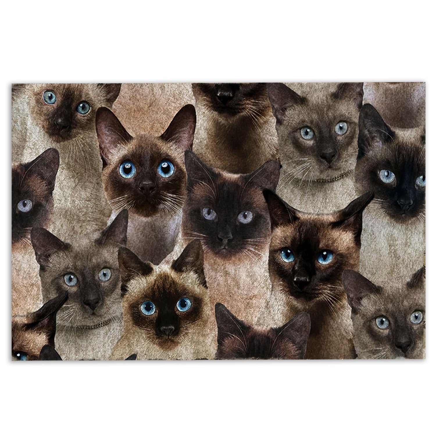 Ohaprints-Doormat-Outdoor-Indoor-Funny-Cute-A-Bunch-Of-Siamese-Cats-Kitten-Hope-You-Like-Cats-Rubber-Door-Mat-366-18'' x 30''