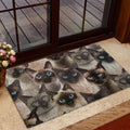 Ohaprints-Doormat-Outdoor-Indoor-Funny-Cute-A-Bunch-Of-Siamese-Cats-Kitten-Hope-You-Like-Cats-Rubber-Door-Mat-366-