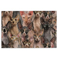 Ohaprints-Doormat-Outdoor-Indoor-Funny-Cute-A-Bunch-Of-Sphynx-Cats-Kitten-Hope-You-Like-Cats-Rubber-Door-Mat-323-18'' x 30''