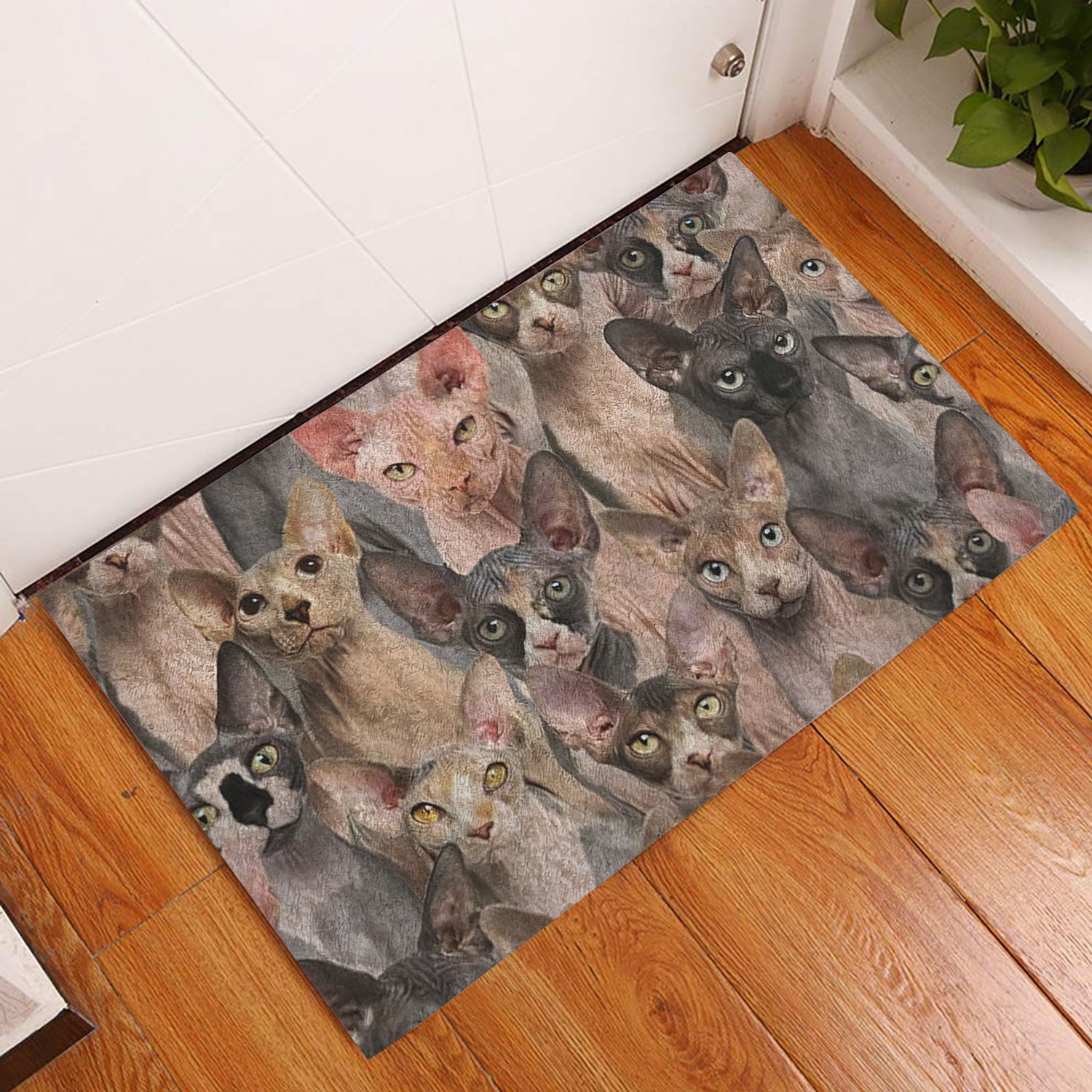 Ohaprints-Doormat-Outdoor-Indoor-Funny-Cute-A-Bunch-Of-Sphynx-Cats-Kitten-Hope-You-Like-Cats-Rubber-Door-Mat-323-