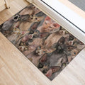 Ohaprints-Doormat-Outdoor-Indoor-Funny-Cute-A-Bunch-Of-Sphynx-Cats-Kitten-Hope-You-Like-Cats-Rubber-Door-Mat-323-