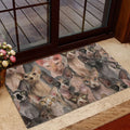 Ohaprints-Doormat-Outdoor-Indoor-Funny-Cute-A-Bunch-Of-Sphynx-Cats-Kitten-Hope-You-Like-Cats-Rubber-Door-Mat-323-