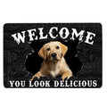 Ohaprints-Doormat-Outdoor-Indoor-Funny-Labrador-Welcome-You-Look-Delicious-Dog-Lover-Gift-Rubber-Door-Mat-175-18'' x 30''