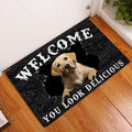 Ohaprints-Doormat-Outdoor-Indoor-Funny-Labrador-Welcome-You-Look-Delicious-Dog-Lover-Gift-Rubber-Door-Mat-175-