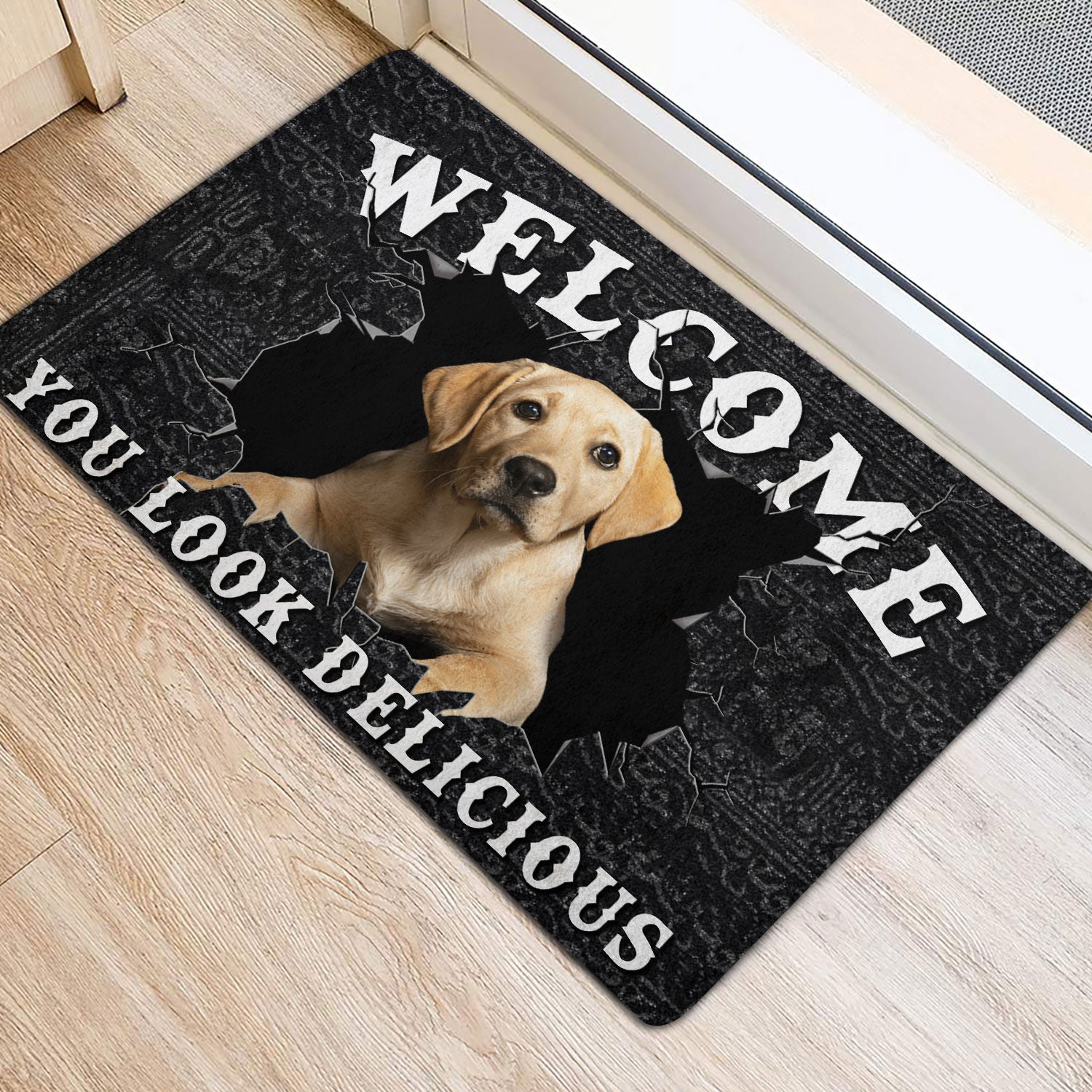 Ohaprints-Doormat-Outdoor-Indoor-Funny-Labrador-Welcome-You-Look-Delicious-Dog-Lover-Gift-Rubber-Door-Mat-175-