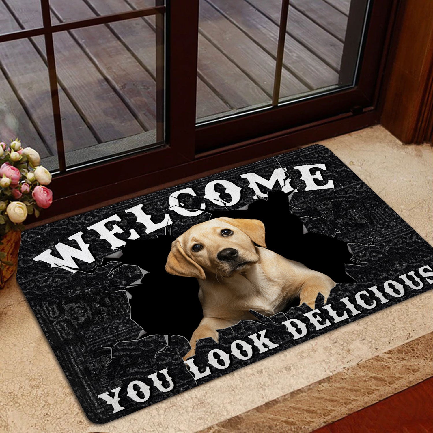 Ohaprints Doormat Outdoor Indoor Funny Labrador Welcome You Look