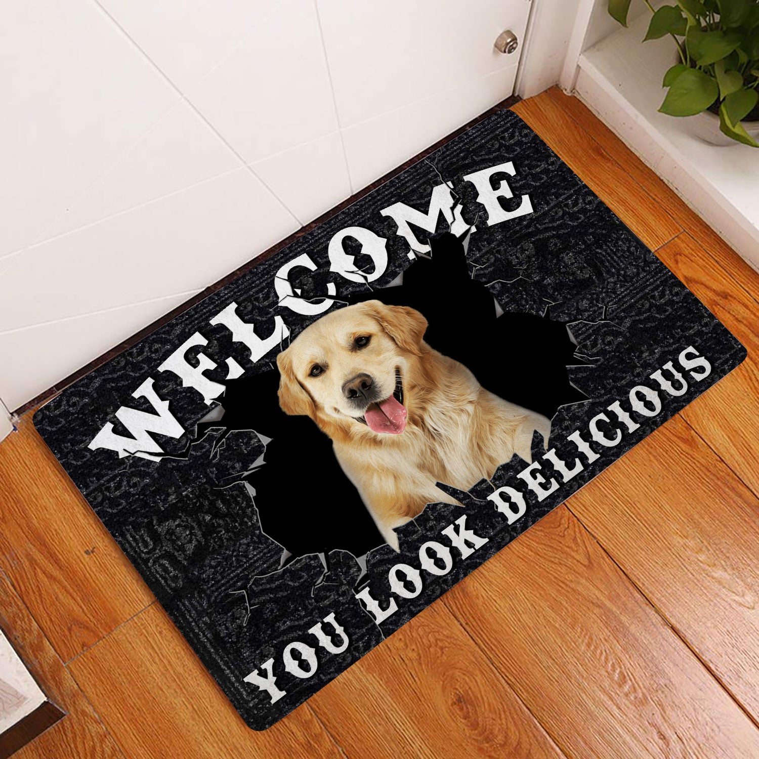 Ohaprints-Doormat-Outdoor-Indoor-Funny-Golden-Retriever-Welcome-You-Look-Delicious-Dog-Lover-Gift-Rubber-Door-Mat-178-