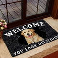 Ohaprints-Doormat-Outdoor-Indoor-Funny-Golden-Retriever-Welcome-You-Look-Delicious-Dog-Lover-Gift-Rubber-Door-Mat-178-