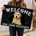 Ohaprints-Doormat-Outdoor-Indoor-Funny-Golden-Retriever-Welcome-You-Look-Delicious-Dog-Lover-Gift-Rubber-Door-Mat-178-