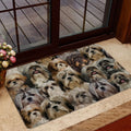 Ohaprints-Doormat-Outdoor-Indoor-A-Bunch-Of-Shih-Tzu-Shitzu-Dog-Pattern-Gifts-For-Dog-Lover-Rubber-Door-Mat-1253-