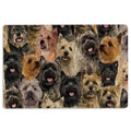 Ohaprints-Doormat-Outdoor-Indoor-A-Bunch-Of-Cairn-Terriers-Dog-Pattern-Gifts-For-Dog-Lover-Rubber-Door-Mat-1260-18'' x 30''