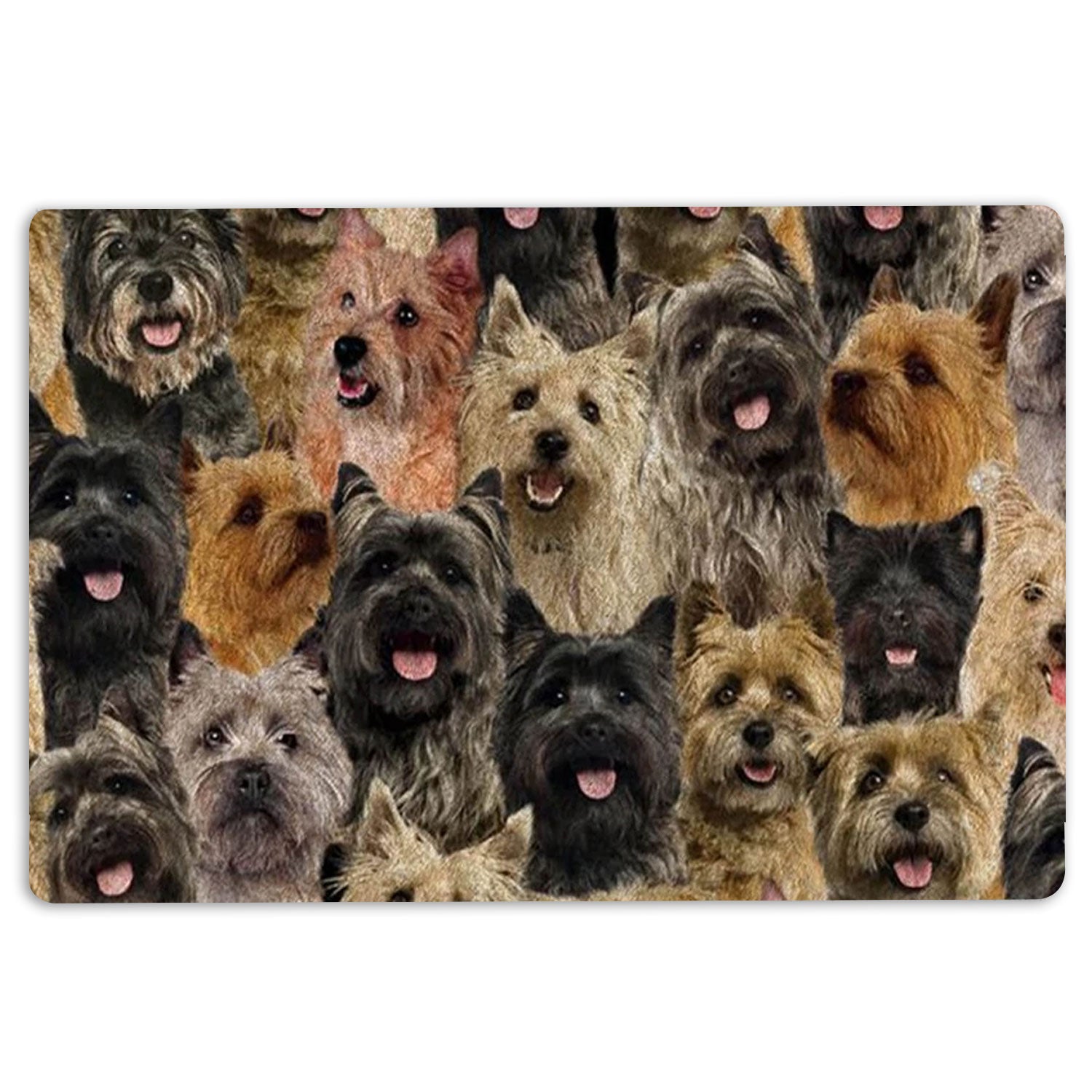 Ohaprints-Doormat-Outdoor-Indoor-A-Bunch-Of-Cairn-Terriers-Dog-Pattern-Gifts-For-Dog-Lover-Rubber-Door-Mat-1260-18'' x 30''