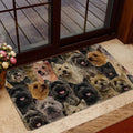 Ohaprints-Doormat-Outdoor-Indoor-A-Bunch-Of-Cairn-Terriers-Dog-Pattern-Gifts-For-Dog-Lover-Rubber-Door-Mat-1260-