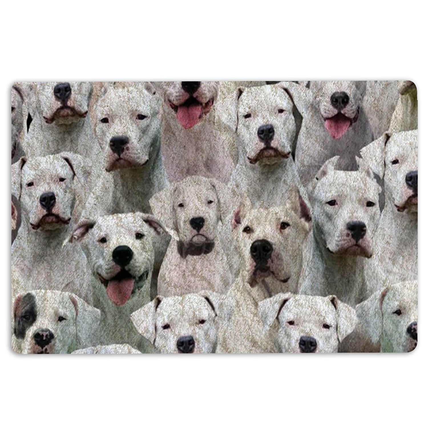 Ohaprints-Doormat-Outdoor-Indoor-A-Bunch-Of-Dogo-Argentino-Dog-Pattern-Gifts-For-Dog-Lover-Rubber-Door-Mat-1261-18'' x 30''