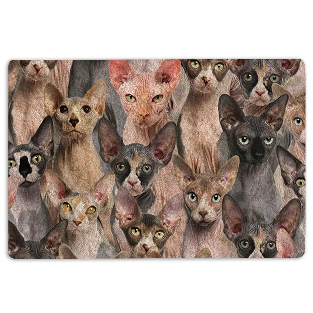 Ohaprints-Doormat-Outdoor-Indoor-A-Bunch-Of-Sphynx-Cats-Cat-Pattern-Gifts-For-Cat-Lover-Rubber-Door-Mat-1263-18'' x 30''