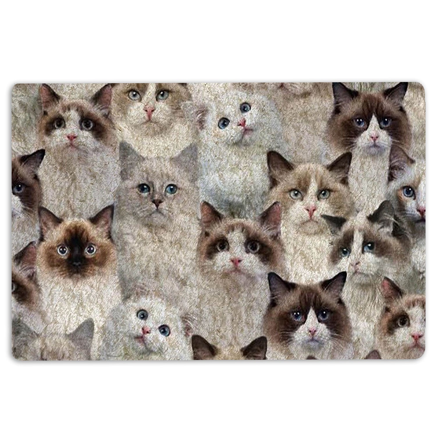 Ohaprints-Doormat-Outdoor-Indoor-A-Bunch-Of-Ragdoll-Cats-Cat-Pattern-Gifts-For-Cat-Lover-Cat-Mom-Rubber-Door-Mat-1265-18'' x 30''