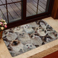 Ohaprints-Doormat-Outdoor-Indoor-A-Bunch-Of-Ragdoll-Cats-Cat-Pattern-Gifts-For-Cat-Lover-Cat-Mom-Rubber-Door-Mat-1265-