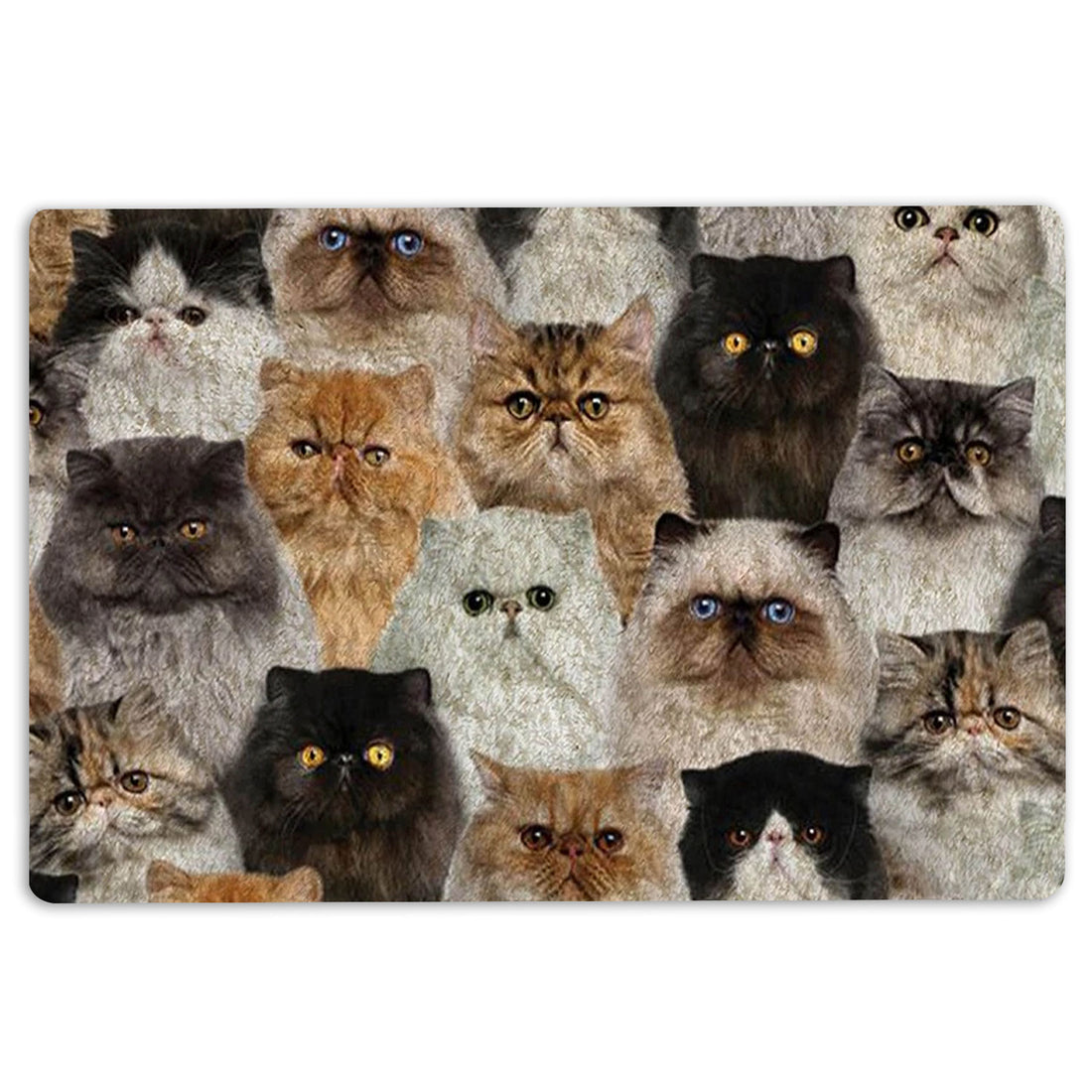 Ohaprints-Doormat-Outdoor-Indoor-A-Bunch-Of-Persian-Cats-Cat-Pattern-Gifts-For-Cat-Lover-Cat-Mom-Rubber-Door-Mat-1266-18'' x 30''