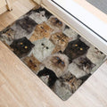 Ohaprints-Doormat-Outdoor-Indoor-A-Bunch-Of-Persian-Cats-Cat-Pattern-Gifts-For-Cat-Lover-Cat-Mom-Rubber-Door-Mat-1266-