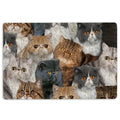 Ohaprints-Doormat-Outdoor-Indoor-A-Bunch-Of-Exotic-Cats-Cat-Pattern-Gifts-For-Cat-Lover-Cat-Mom-Rubber-Door-Mat-1267-18'' x 30''