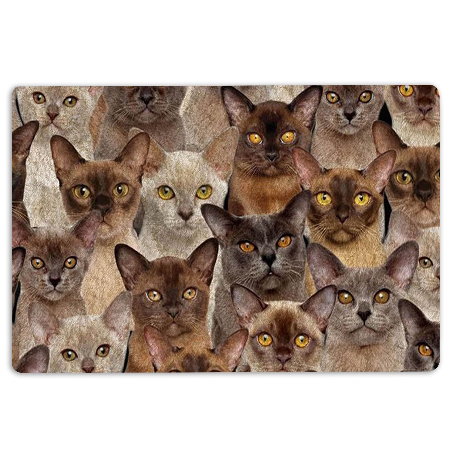 Ohaprints-Doormat-Outdoor-Indoor-A-Bunch-Of-Burmese-Cats-Cat-Pattern-Gifts-For-Cat-Lover-Cat-Mom-Rubber-Door-Mat-1268-18'' x 30''