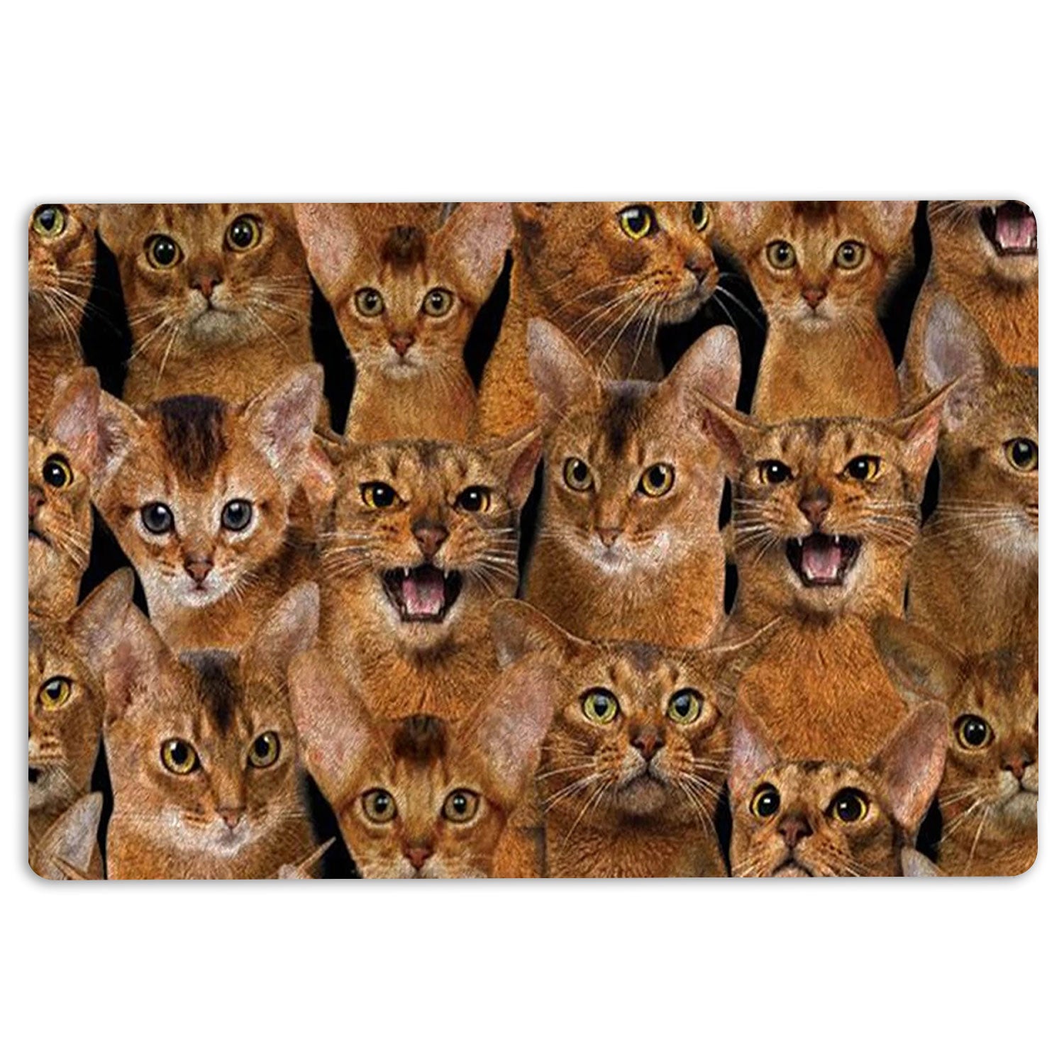 Ohaprints-Doormat-Outdoor-Indoor-A-Bunch-Of-Abyssinian-Cats-Cat-Pattern-Gifts-For-Cat-Lover-Cat-Rubber-Door-Mat-1269-18'' x 30''