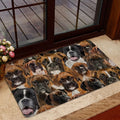 Ohaprints-Doormat-Outdoor-Indoor-A-Bunch-Of-Boxers-Dog-Pattern-Gifts-For-Dog-Lover-Dog-Mom-Rubber-Door-Mat-1272-