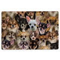 Ohaprints-Doormat-Outdoor-Indoor-A-Bunch-Of-Chihuahuas-Dog-Pattern-Gifts-For-Dog-Lover-Dog-Mom-Rubber-Door-Mat-1273-18'' x 30''