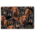 Ohaprints-Doormat-Outdoor-Indoor-A-Bunch-Of-Dachshunds-Dog-Pattern-Gifts-For-Dog-Lover-Dog-Rubber-Door-Mat-1274-18'' x 30''