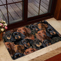 Ohaprints-Doormat-Outdoor-Indoor-A-Bunch-Of-Dachshunds-Dog-Pattern-Gifts-For-Dog-Lover-Dog-Rubber-Door-Mat-1274-