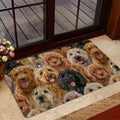 Ohaprints-Doormat-Outdoor-Indoor-A-Bunch-Of-Goldendoodles-Dog-Pattern-Gifts-For-Dog-Lover-Dog-Mom-Rubber-Door-Mat-1276-