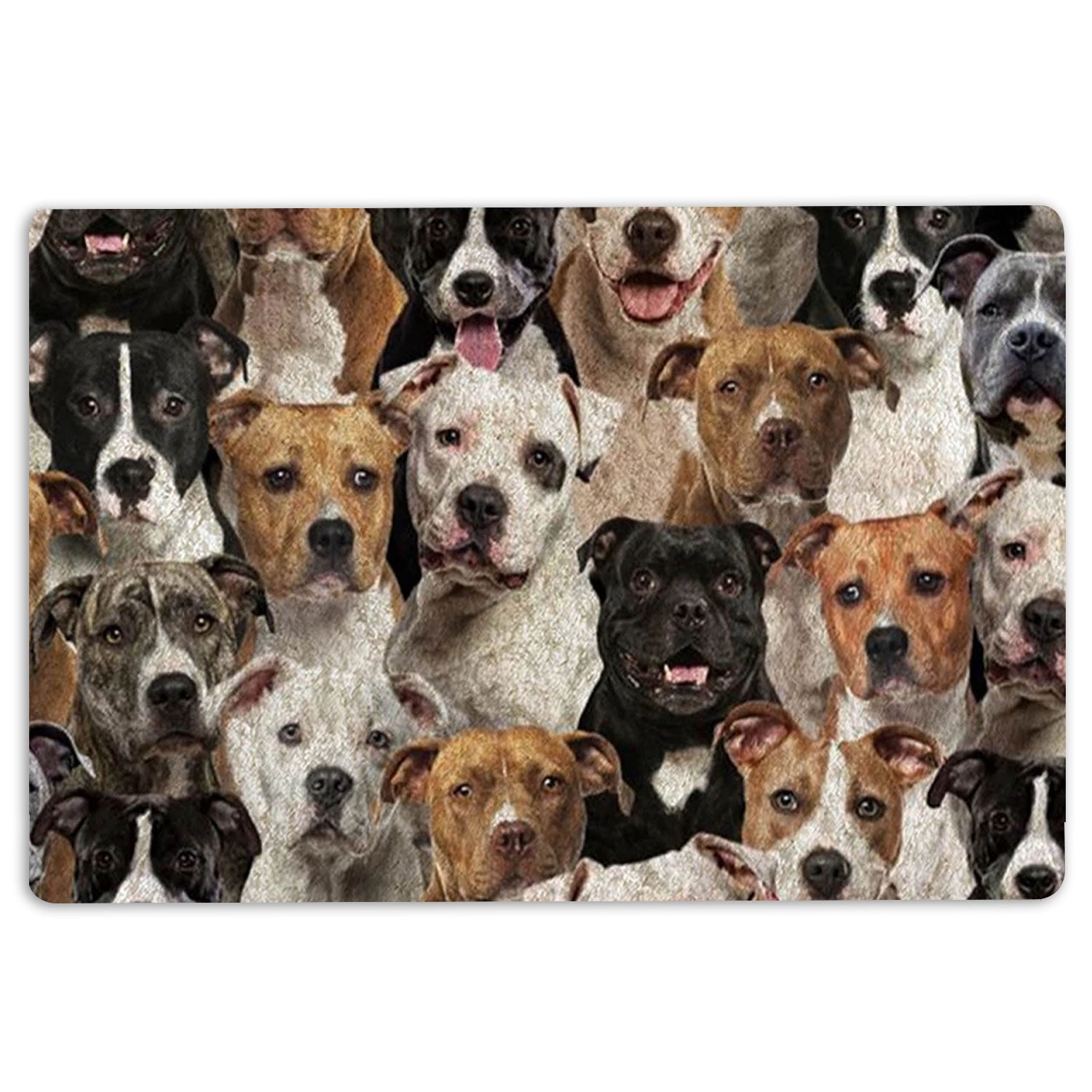 Ohaprints-Doormat-Outdoor-Indoor-A-Bunch-Of-Staffordshire-Bull-Terriers-Staffy-Gift-For-Dog-Lover-Rubber-Door-Mat-1295-18'' x 30''