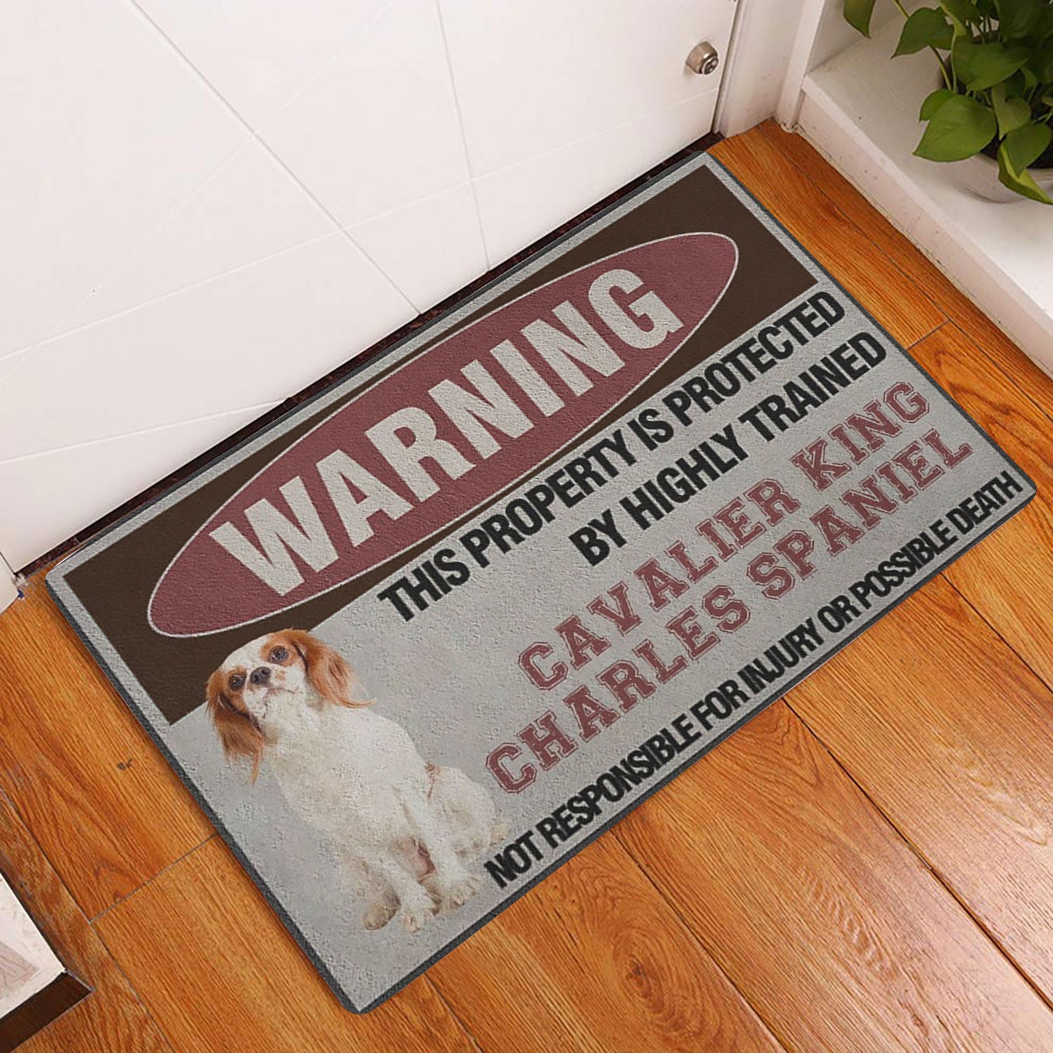 Ohaprints-Doormat-Outdoor-Indoor-This-Property-Is-Protected-By-A-Highly-Trained-Cavalier-King-Rubber-Door-Mat-1348-