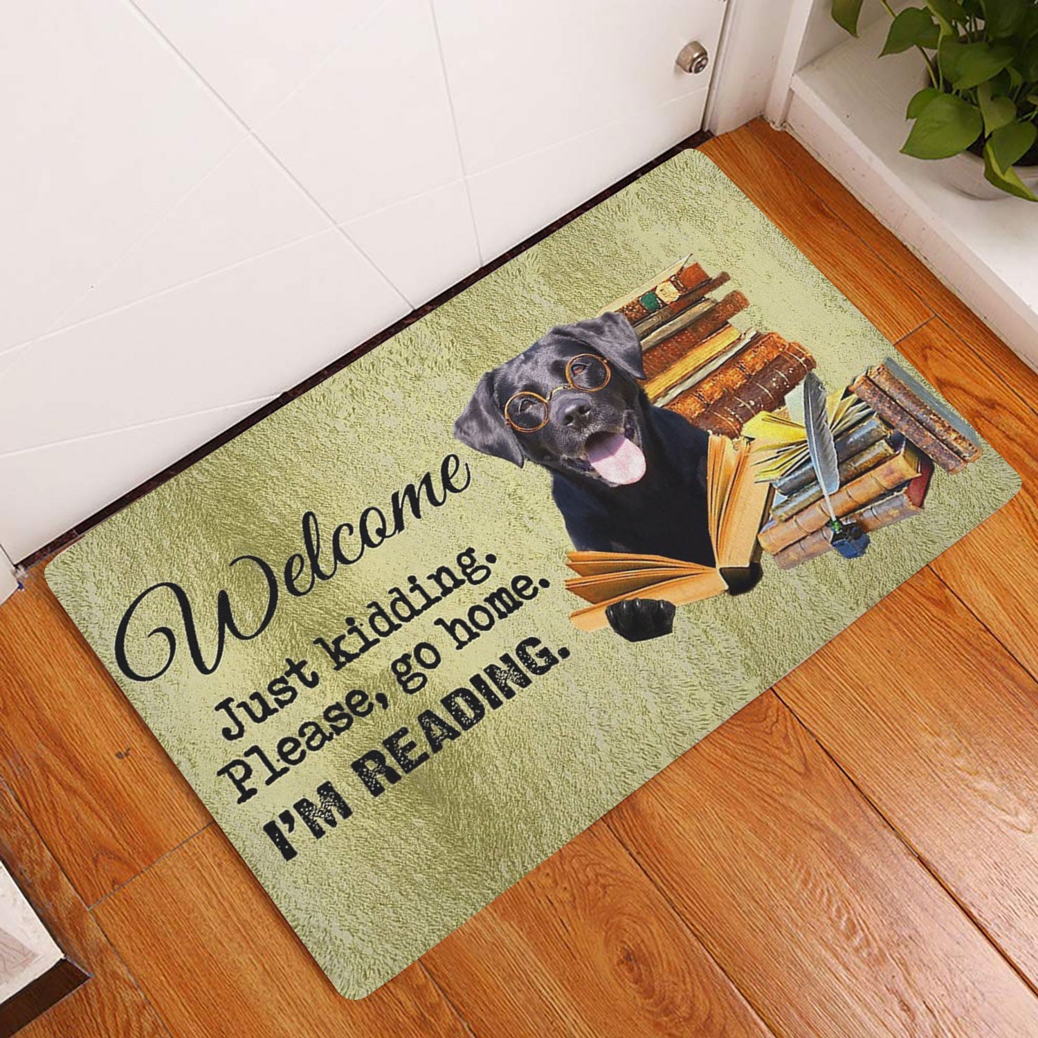 Ohaprints-Doormat-Outdoor-Indoor-Black-Labrador-Dog-And-Book-Please-Go-Home-I'M-Reading-Rubber-Door-Mat-1506-