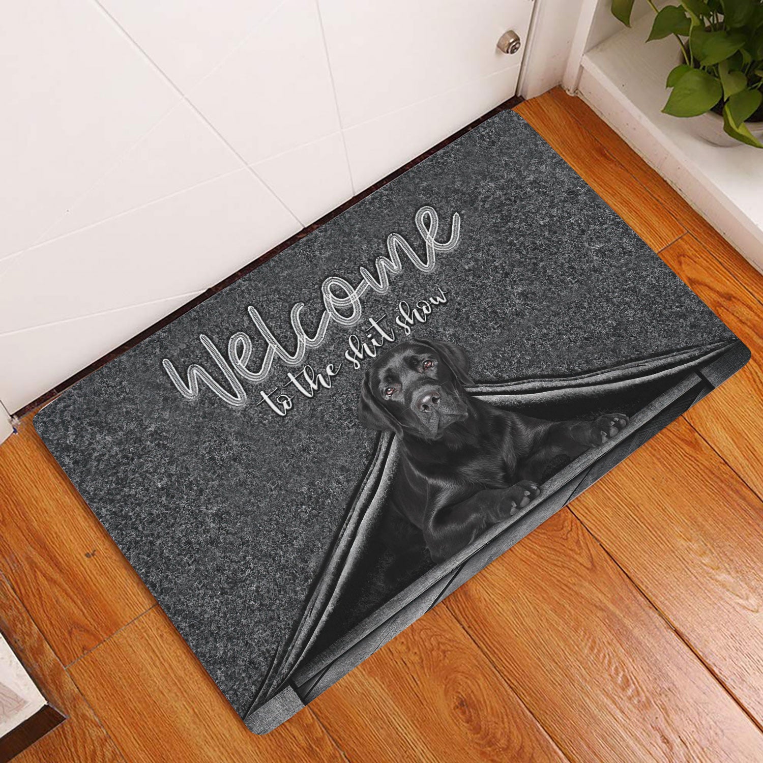 Ohaprints-Doormat-Outdoor-Indoor-Black-Labrador-Dog-Welcome-To-The-Shitshow-Gifts-For-Dog-Lovers-Rubber-Door-Mat-1611-