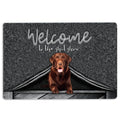 Ohaprints-Doormat-Outdoor-Indoor-Chocolate-Labrador-Welcome-To-The-Shitshow-Gifts-For-Dog-Lovers-Rubber-Door-Mat-1616-18'' x 30''