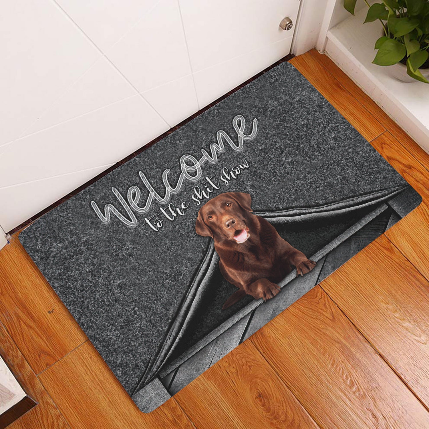 Ohaprints-Doormat-Outdoor-Indoor-Chocolate-Labrador-Welcome-To-The-Shitshow-Gifts-For-Dog-Lovers-Rubber-Door-Mat-1616-