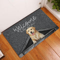 Ohaprints-Doormat-Outdoor-Indoor-Golden-Retriever-Dog-Welcome-To-The-Shitshow-Gifts-For-Dog-Lover-Rubber-Door-Mat-1624-