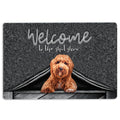 Ohaprints-Doormat-Outdoor-Indoor-Poodle-Dog-Welcome-To-The-Shitshow-Gifts-For-Dog-Lovers-Rubber-Door-Mat-1627-18'' x 30''