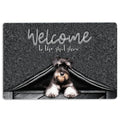 Ohaprints-Doormat-Outdoor-Indoor-Schnauzer-Dog-Welcome-To-The-Shitshow-Gifts-For-Dog-Lovers-Rubber-Door-Mat-1631-18'' x 30''