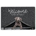 Ohaprints-Doormat-Outdoor-Indoor-Silver-Labrador-Dog-Welcome-To-The-Shitshow-Gifts-For-Dog-Lovers-Rubber-Door-Mat-1633-18'' x 30''