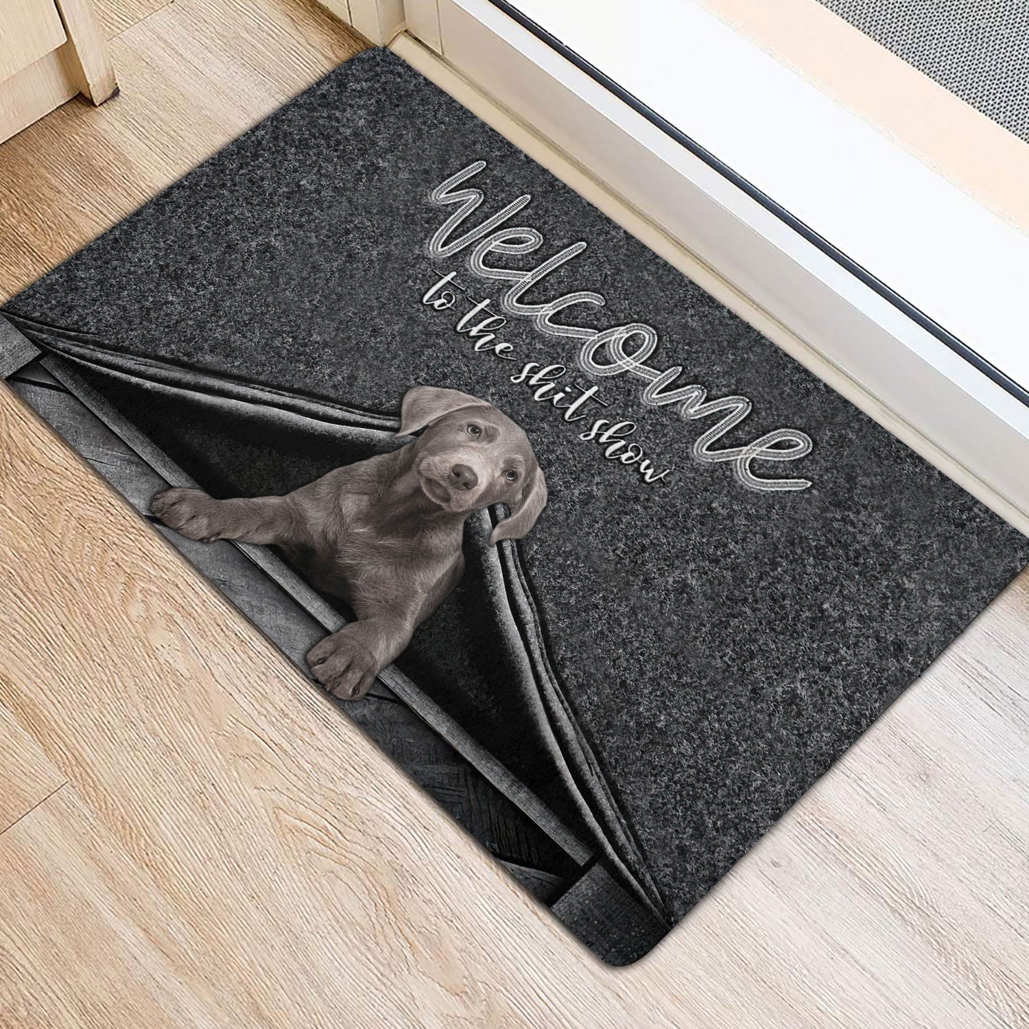 Ohaprints-Doormat-Outdoor-Indoor-Silver-Labrador-Dog-Welcome-To-The-Shitshow-Gifts-For-Dog-Lovers-Rubber-Door-Mat-1633-