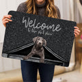 Ohaprints-Doormat-Outdoor-Indoor-Silver-Labrador-Dog-Welcome-To-The-Shitshow-Gifts-For-Dog-Lovers-Rubber-Door-Mat-1633-