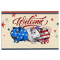 Ohaprints-Doormat-Outdoor-Indoor-Guinea-Pig-Patriotic-American-Firework-4Th-July-Independence-Day-Rubber-Door-Mat-1153-18'' x 30''