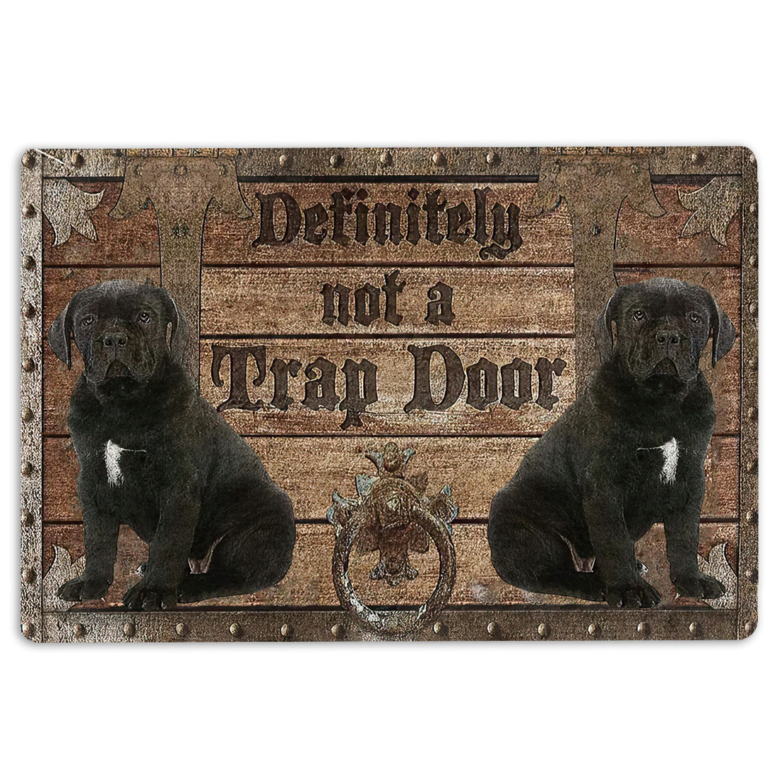Ohaprints-Doormat-Outdoor-Indoor-Definitely-Not-A-Trap-Door-Cane-Corso-Rubber-Door-Mat-1929-18'' x 30''